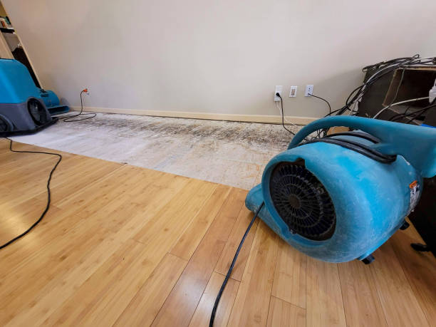 Professional Structural Drying technician working in Edmond, OK